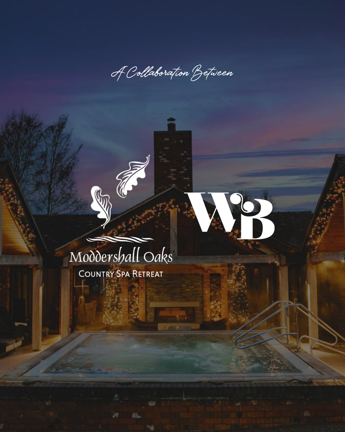 The Wandering Bee × Moddershall Oaks