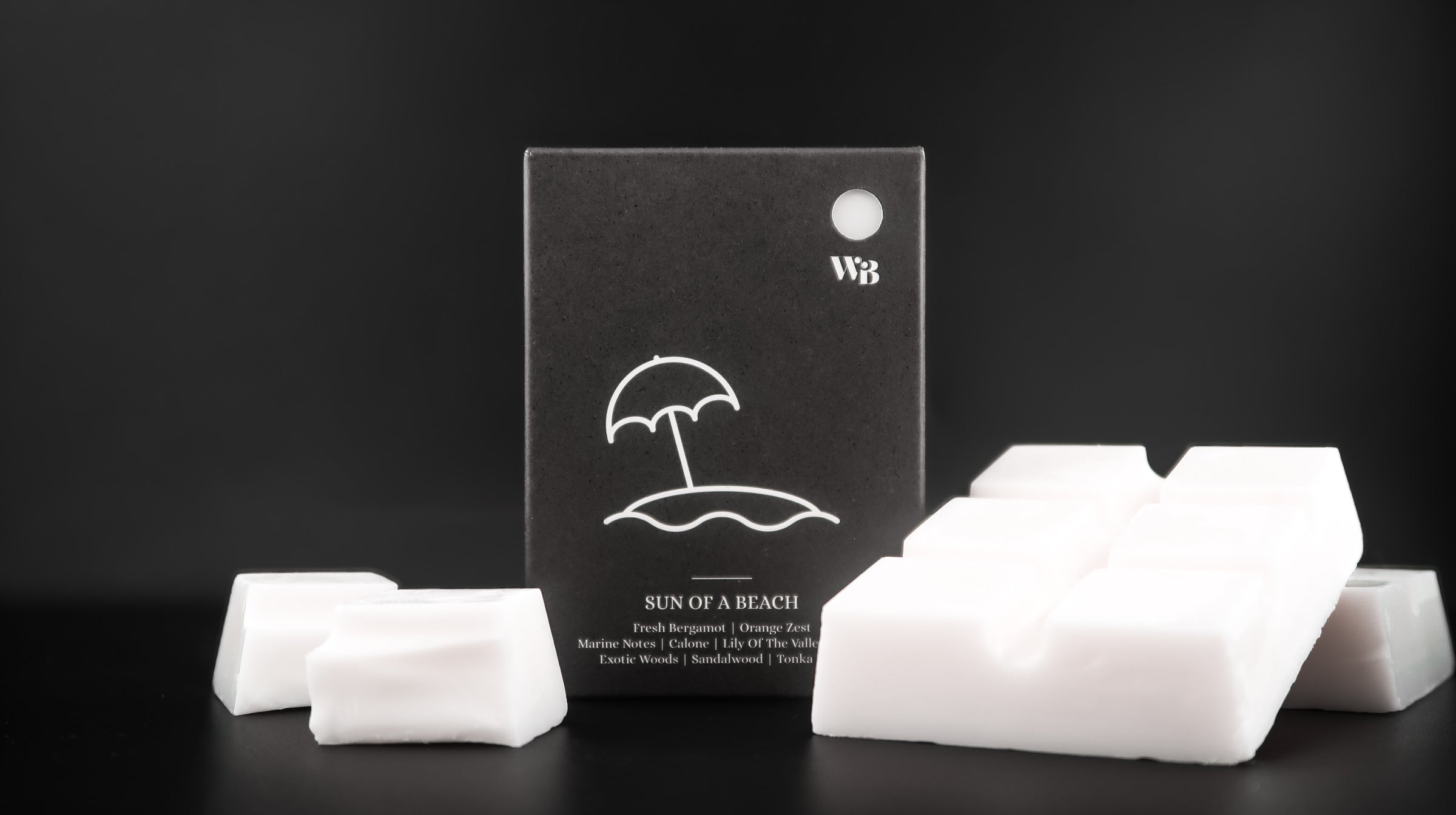 Sun of a Beach Wax Melt