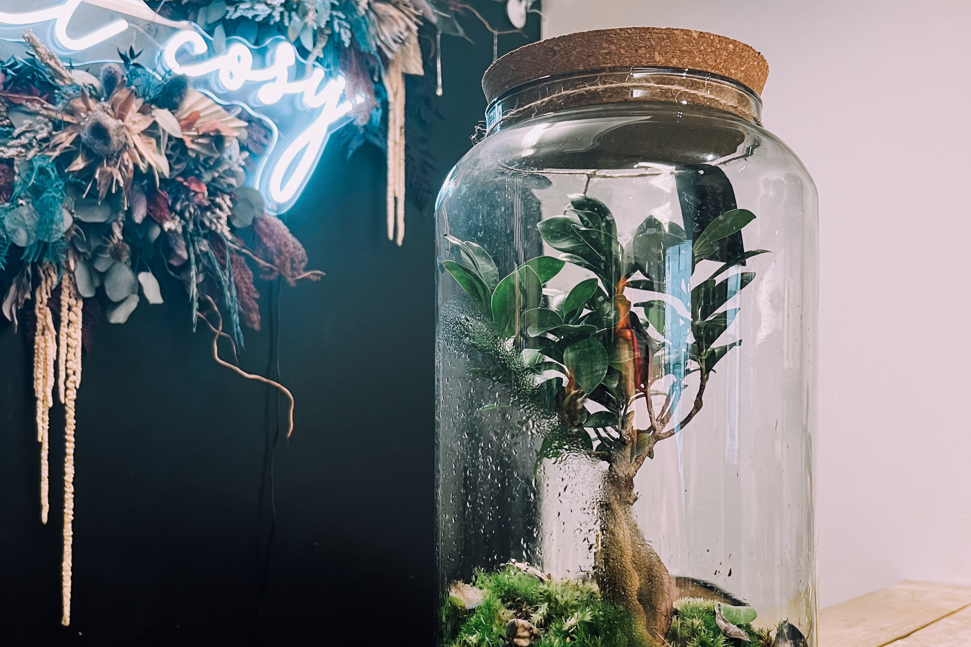 Terrarium Making Workshop