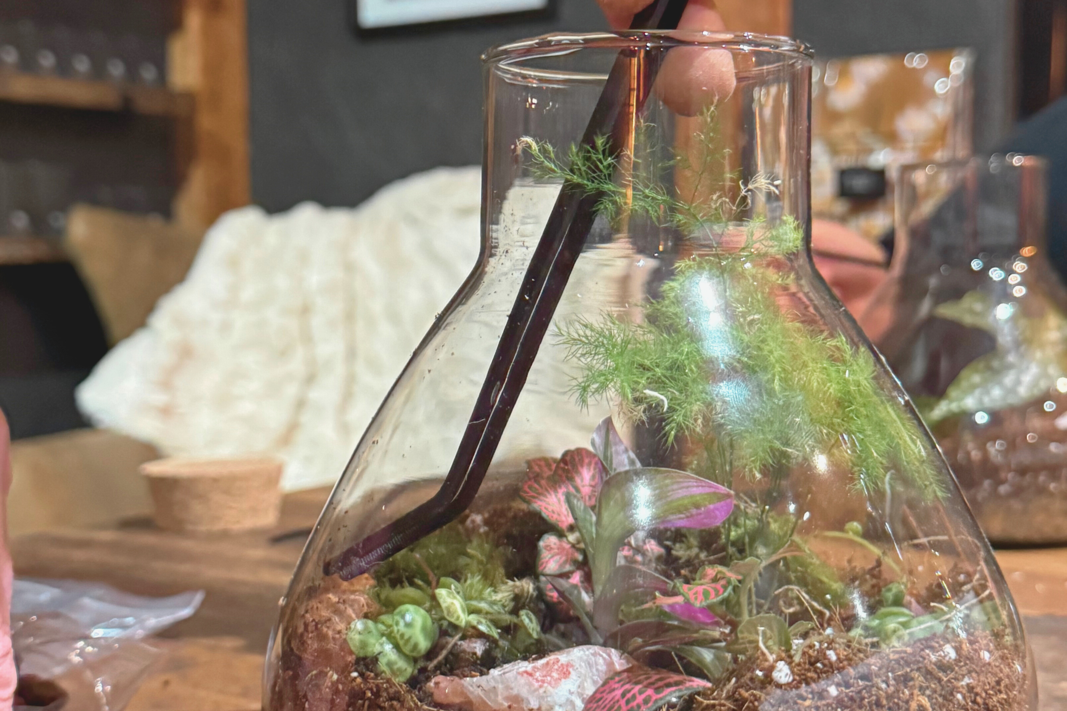 Terrarium Making Workshop
