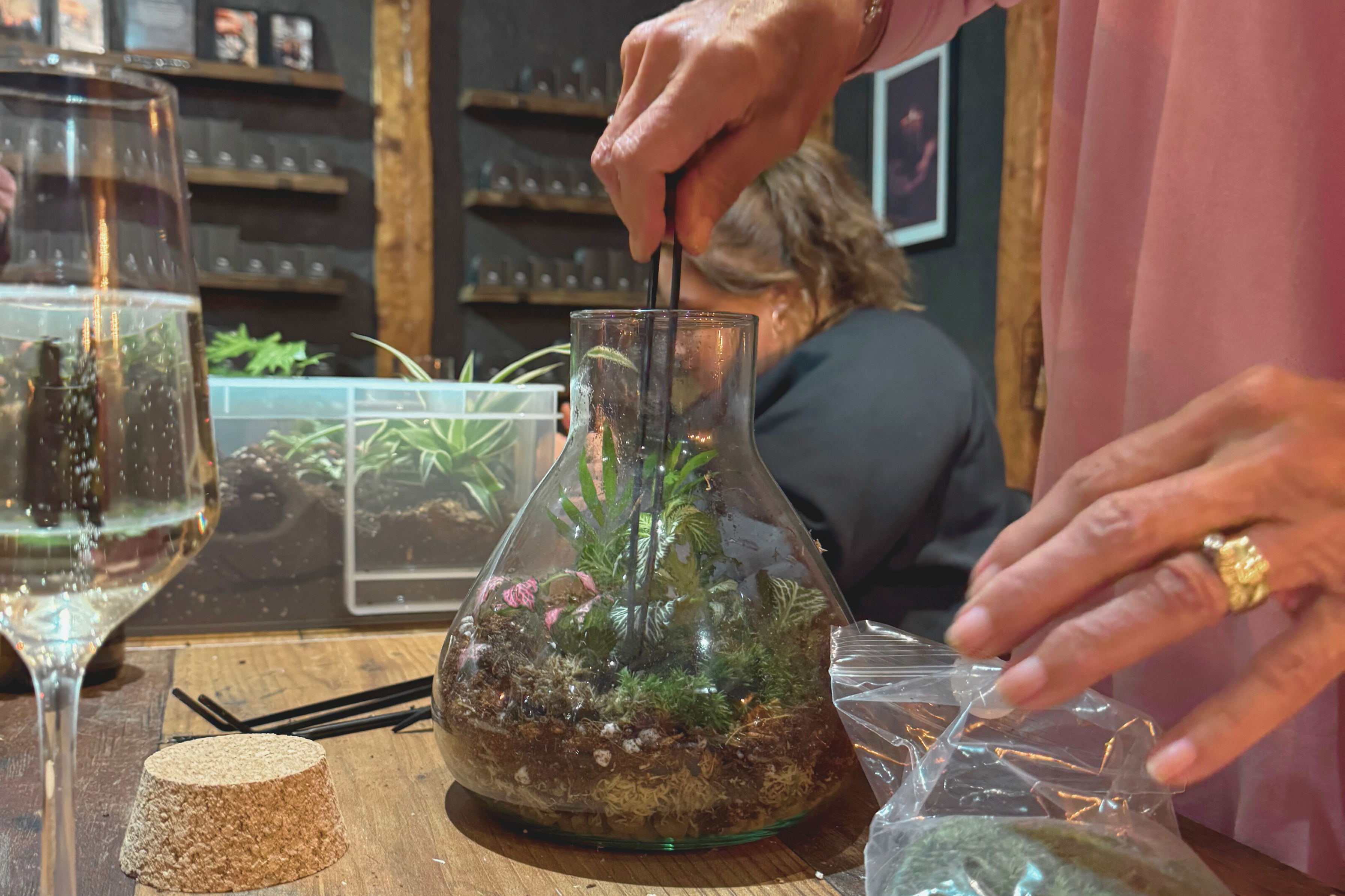 Terrarium Making Workshop