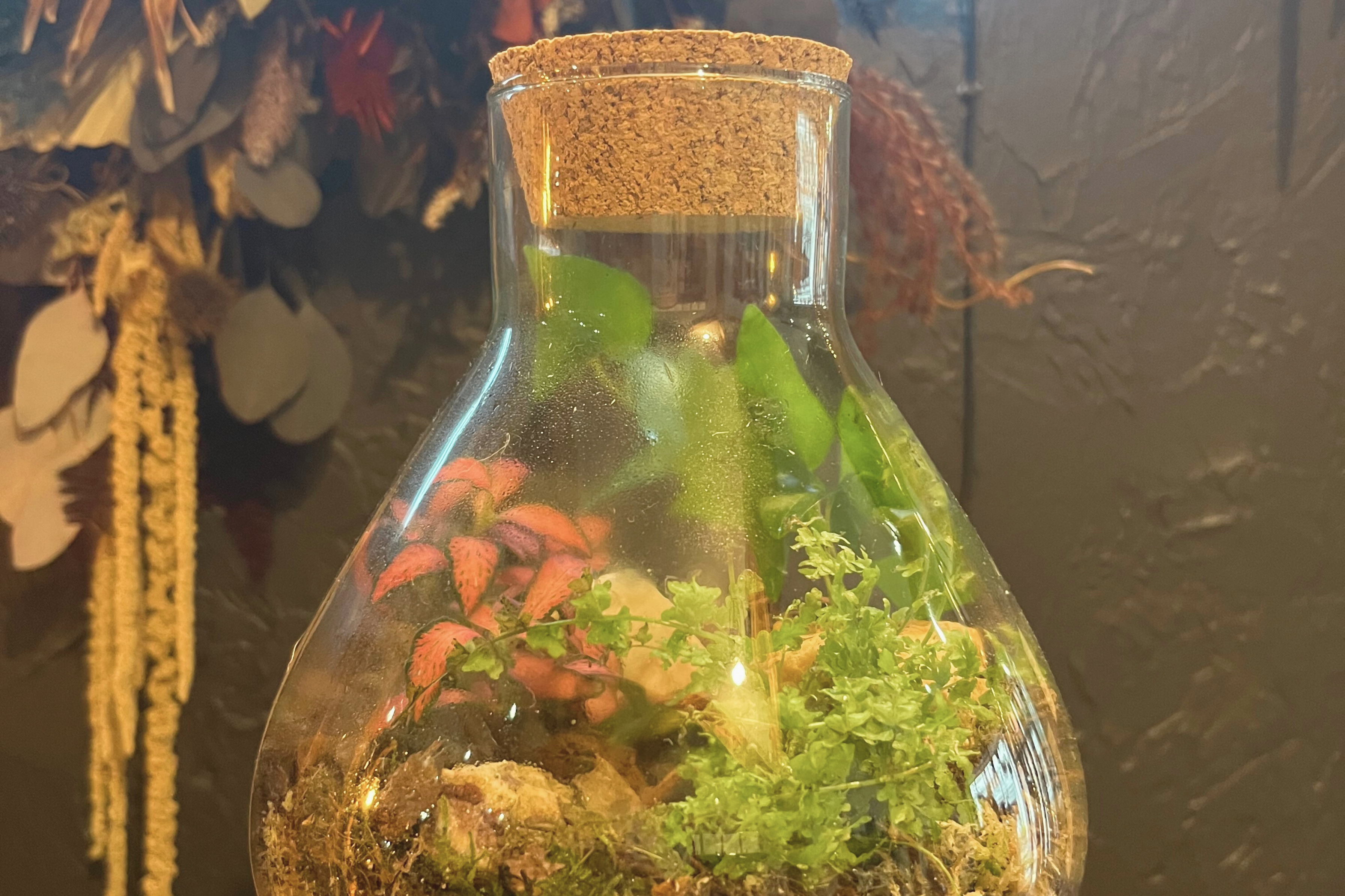 Terrarium Making Workshop