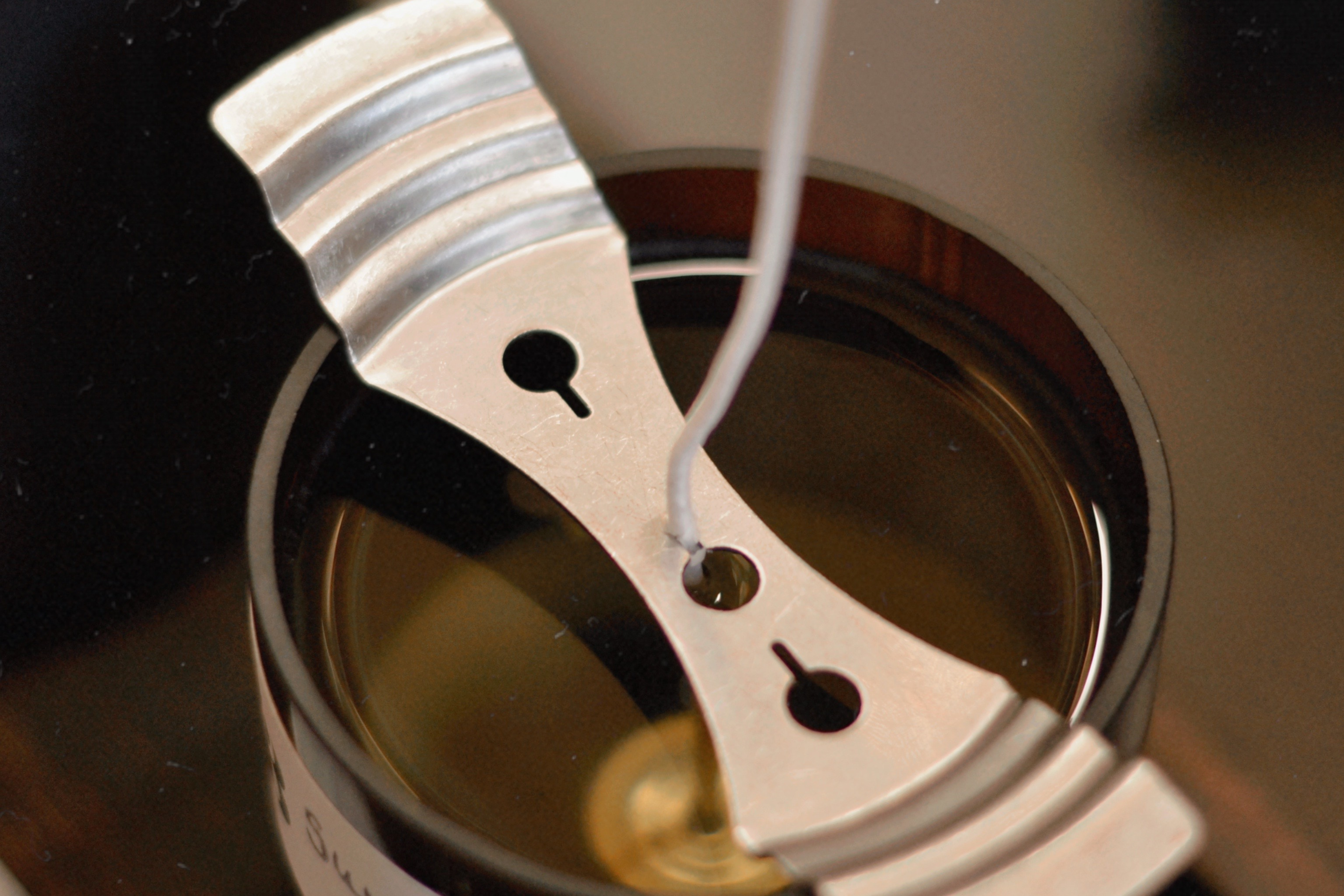 Candle Making Workshop